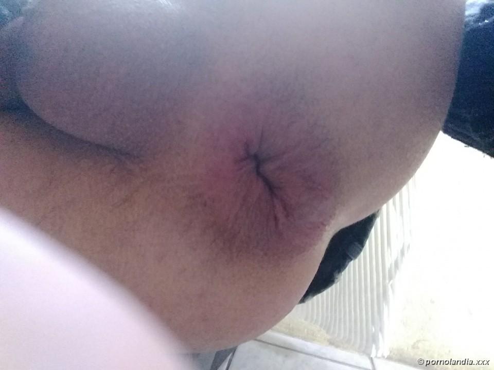 Ovos - Foto 175236