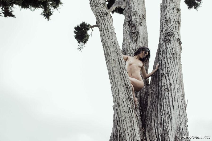 Kylie Jenner nua em fotos exclusivas - Foto 215468