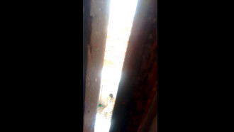 Minha vizinha se depilando no quintal